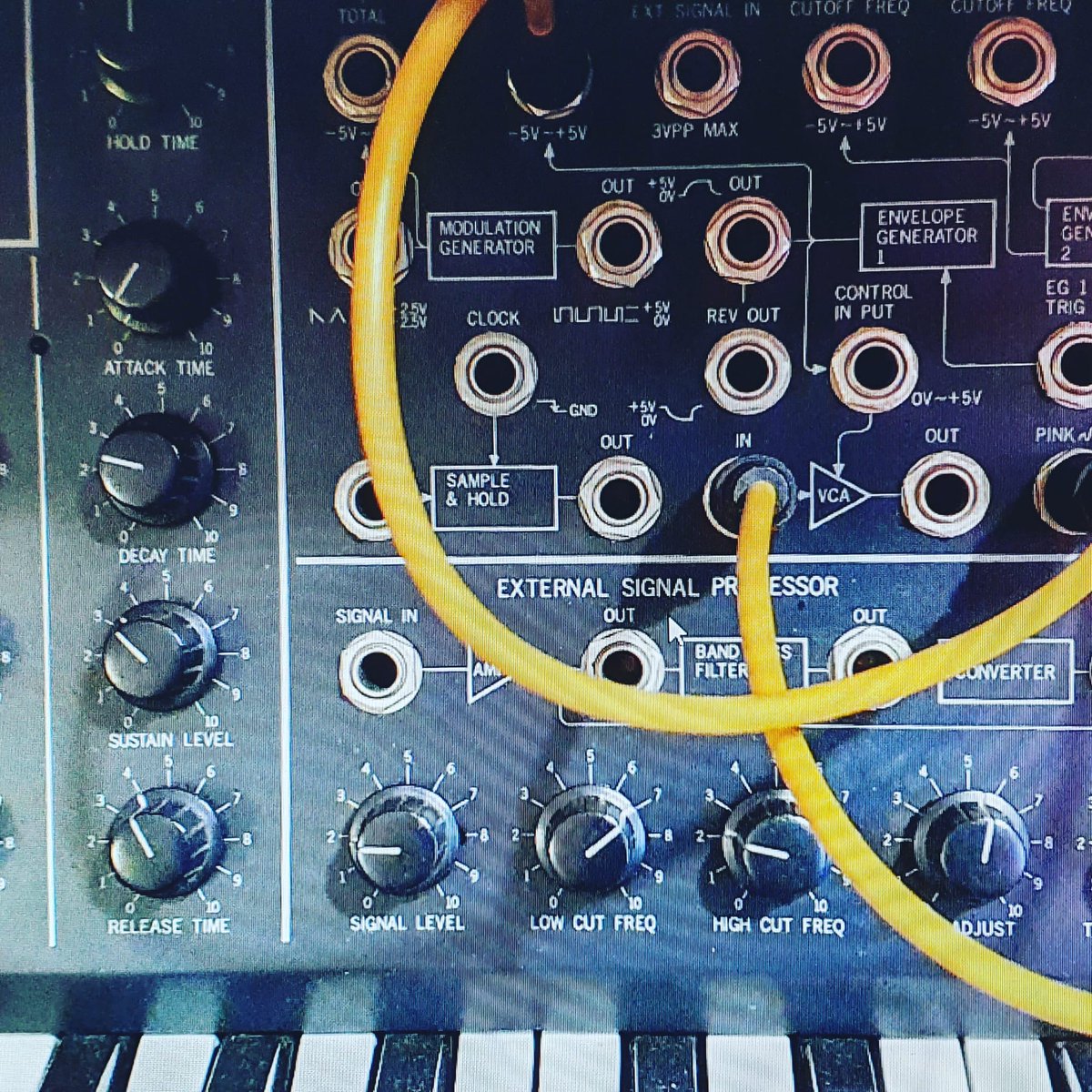 Vintage Korg MS-20

Let me know if anyone wants any samples from it..? 😎🎹

#korgms20 #korgms20aamples #freekorgsamples #korgsamples