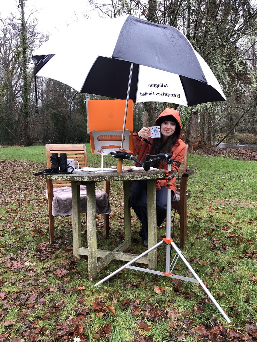 Can someone please , please , please stop the rain ! About to start ⁦<a href="/Natures_Voice/">RSPB</a>⁩ #BigGardenBirdwatch . . . Check it out here . . . m.youtube.com/user/rspbvideo . . . any minute now . . .