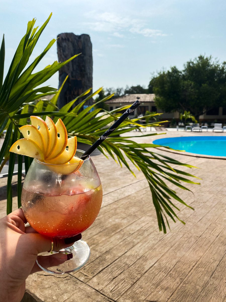 Hellooooo 🌞
Cocktail du jour bonjour 🍹🐚 ✨