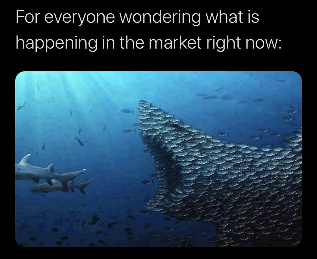 TakeNotesTroy's tweet image. 