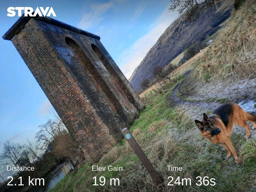 JackiDowie's tweet photo. Just a short walk this morning, sadly! ๐But beautiful all the same!โ๏ธโ #Ochils #Scotland #Clacks #meandmydog #RiverDevonTrail @OchilsLandscape https://t.co/ClOPy3qO67