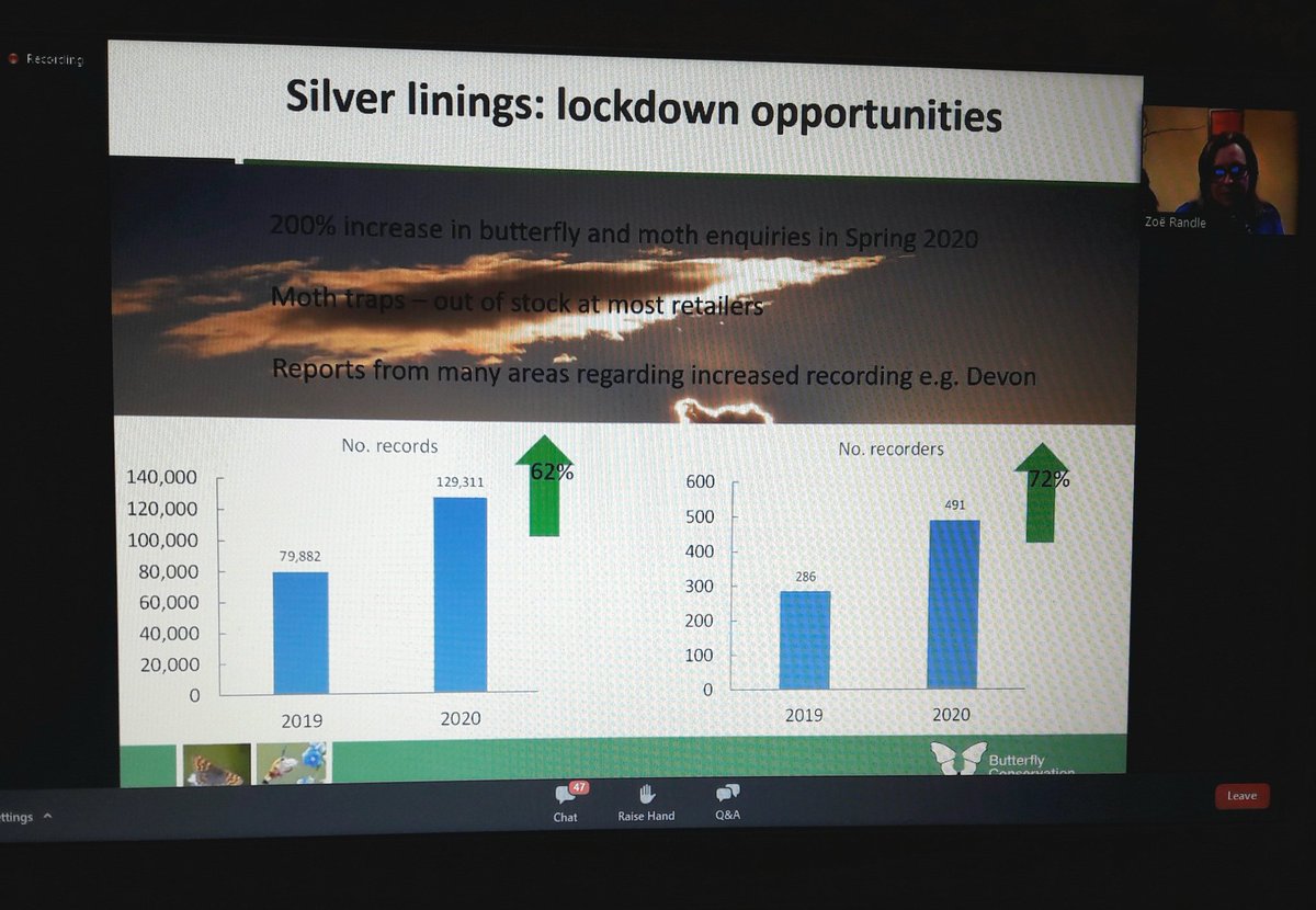 Enjoying the online UK Moth Recorders Meeting from <a href="/savebutterflies/">Butterfly Conservation 🦋</a>. This slide from <a href="/Moth_Lady/">Zoe Randle</a> shows the big increase in moth recording in 2020 due to lockdown. Great to welcome so many new people to the moth recording community. #UKMRM