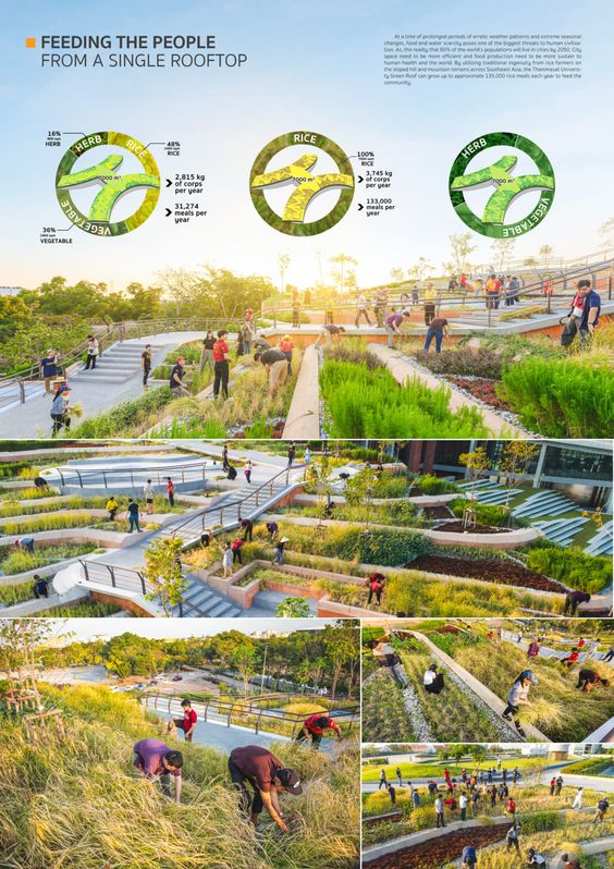 Los Árboles Mágicos ®️, (by Oscar Gaitan) tweet media