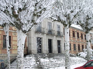 En #OBSERVA_ACCION docente, el IES Isabel de Castilla de Ávila <a href="/InstitutIsabel/">ISABELDECASTILLA</a> tiene mucho que contar

👁‍🗨 #Team2Teach en la clase de Economía de 4º ESO impartida en 🇬🇧 

➡️Sigue la experiencia #COMUNICA_ACCIÓN 20-21 en el blog: cutt.ly/nkr2rlQ