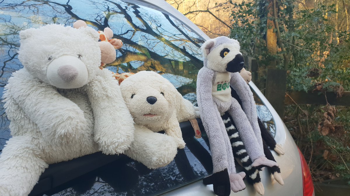 Celia Celia please go and follow my friends!

@HamishNL <a href="/Chappers2013/">Chappers 🐾🐝 🙋‍♀️</a> <a href="/TAussiebrothers/">TwoAussiebrothers</a> <a href="/oscar66932016/">LIEUTENANT OSCAR 🐶CARRI👧 xxx💙</a> <a href="/stuffedofficial/">Youtube.com/c/StuffedProductions</a> <a href="/MungoDogue/">Mungo Dogue and Maisie too #rip</a> <a href="/wonderbeagmurph/">wonderbeaglemurphy</a> <a href="/chefboimanny/">manny acosta</a> <a href="/growlerpbear/">Growler P Bear</a> @Indradobe <a href="/Florencecavpack/">Florence</a> <a href="/MustacheRita/">MaoMao & Koi R.I.P Margarita 🌈</a> <a href="/BonganiGiraffe/">Bongani</a> <a href="/achilledpinot/">Louise</a> @HaidaCeta <a href="/keeperofstone/">Stone Keeper</a>