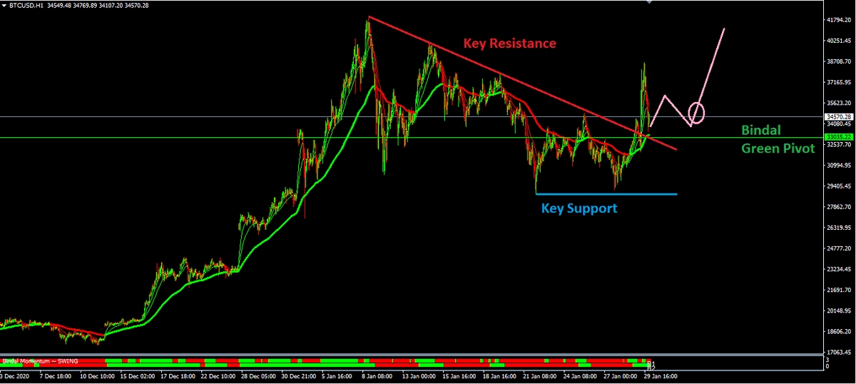 Bindal FX tweet media