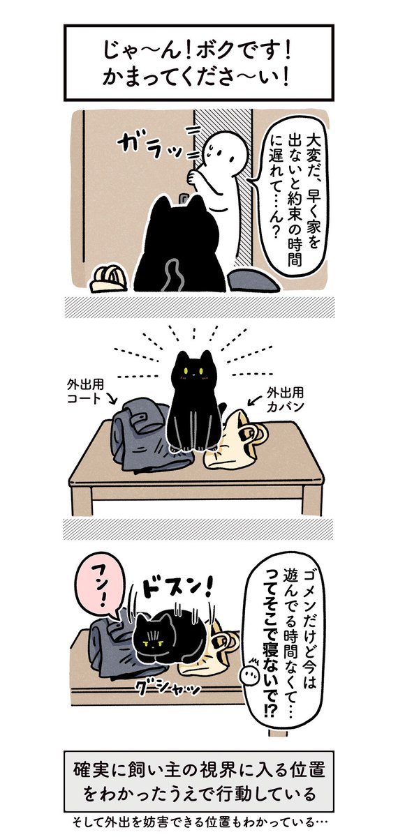 確実に飼い主の視界に入る位置をわかっていて「じゃーん!ボクです!」って顔で待ち構えているねこの絵日記 #ろんの絵日記 