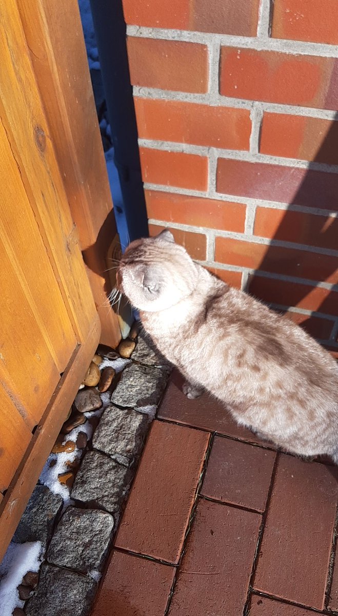 Sie muss immer die Nachbarn stalken