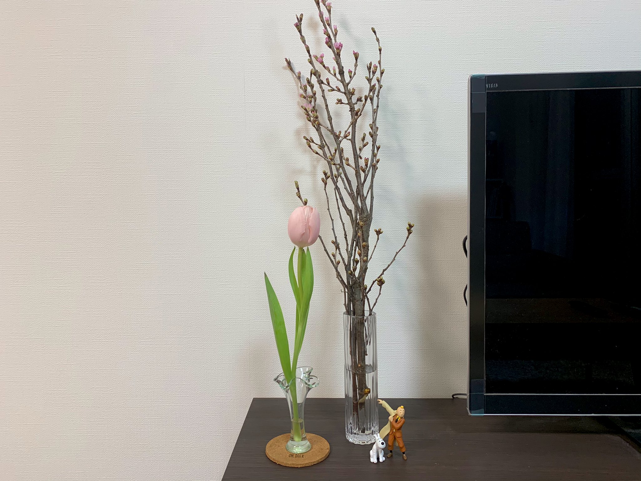 ট ইট র ななちゃん 梅を買いに花屋さんに行ったら もう梅の季節は終わったとのことで代わりに桜を購入 部屋がいっきに春っぽくなった なお欲しかったニトリのフラワーベース シリンダーは売り切れてた T Co 3ze5yllwcs ট ইট র