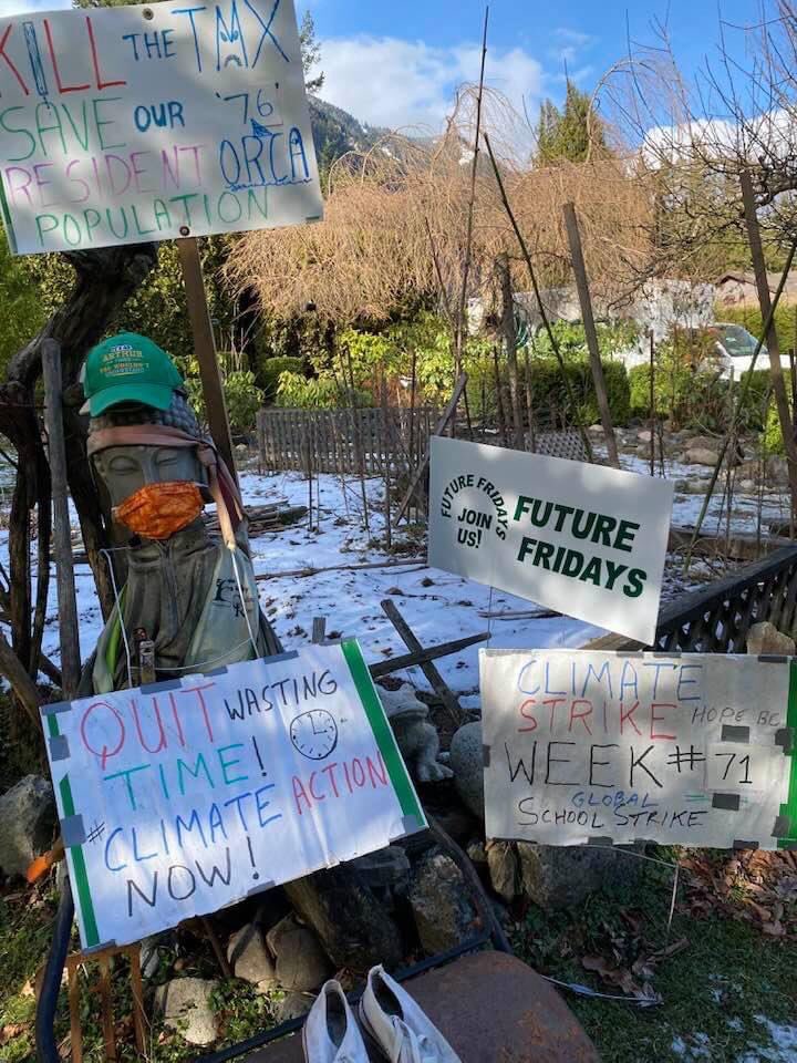 FFFHope's tweet photo. Climate strike week #71 💚

#FridaysForFuture #Canada #ClimateStrike #ClimateStrikeOnline #UniteBehindTheScience https://t.co/qhPfZhEDi7