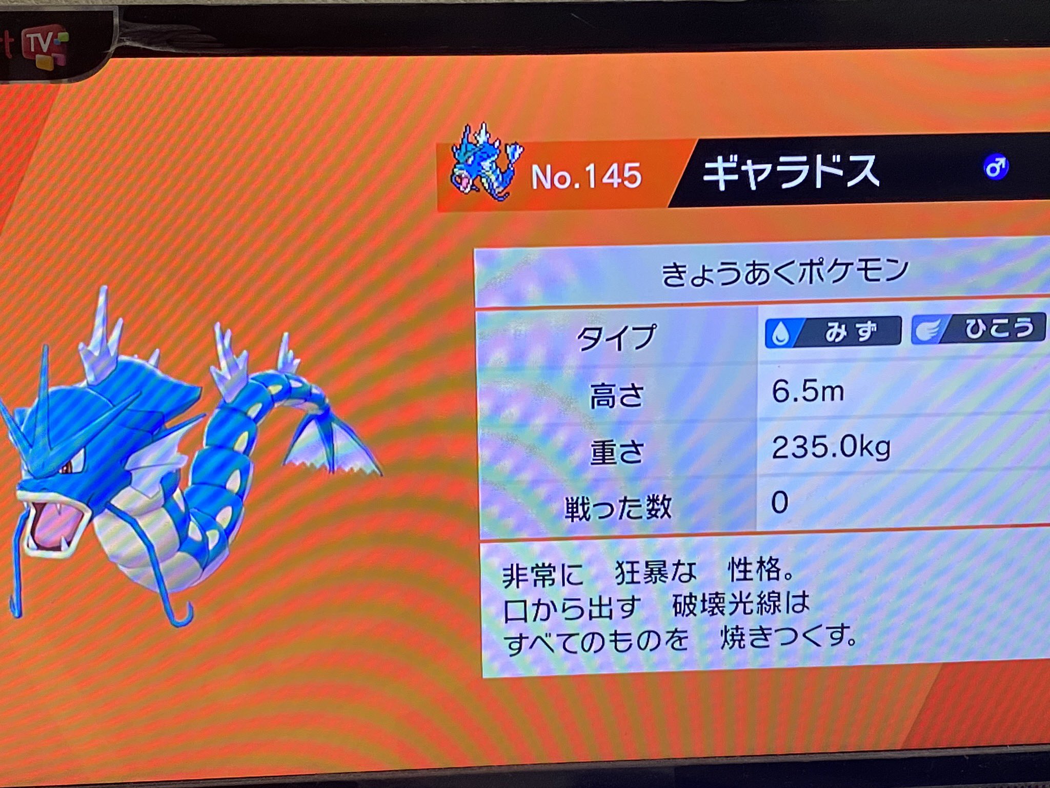 鈴々 ポケモン剣のギャラドスの図鑑説明 初代と同じなのね 他にも初代ポケモンで説明文が同じ子いるのかな T Co Oq5jb7kpmj Twitter