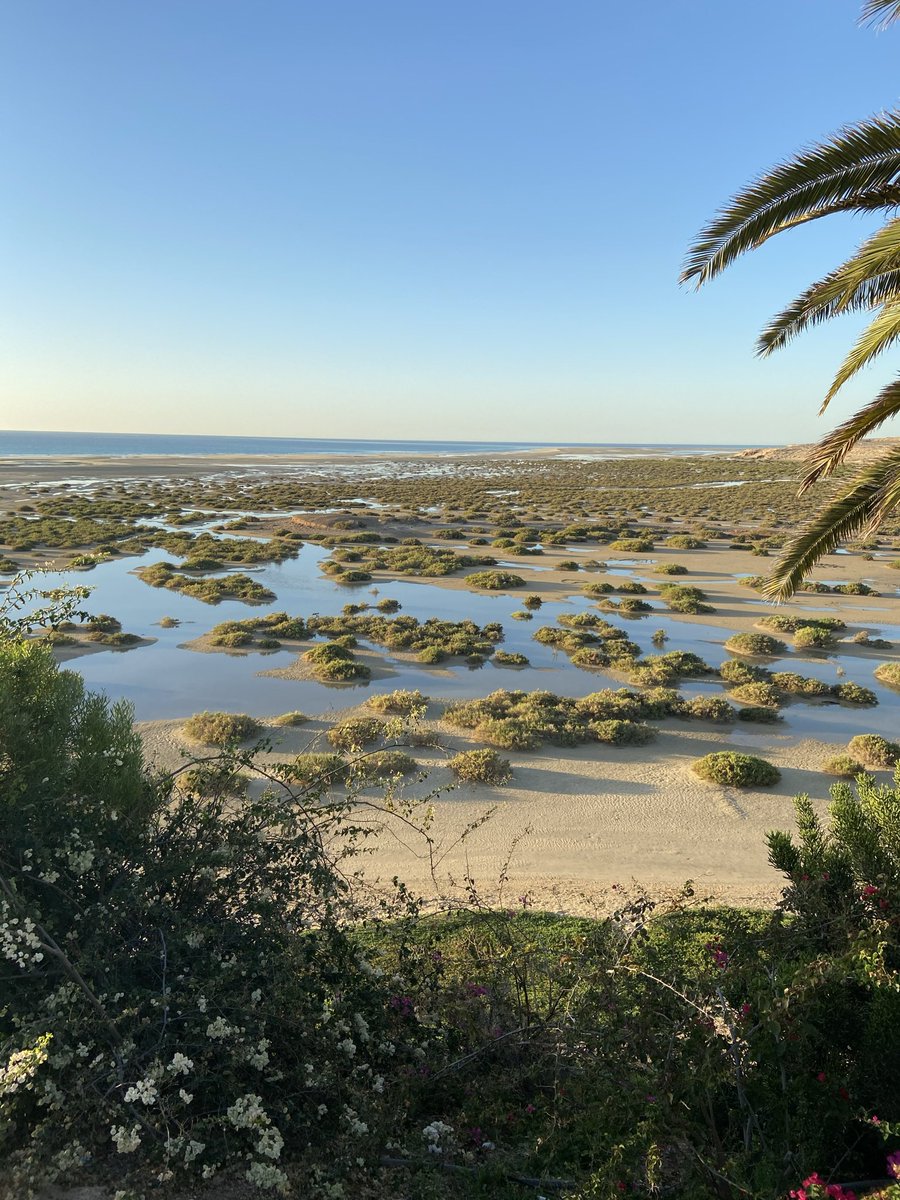 Visita a <a href="/InnsidebyMelia/">INNSiDE by Meliá</a> #Innsidefuerteventura . Que pasada de hotel ! Gracias al equipo por mantener abierto en este momento tan especial #COVID19 . Idílico @canarias_es  <a href="/__Fuerteventura/">Fuerteventura</a> para hacer #deporte #windsurfing <a href="/CabildoFTV/">Cabildo de Fuerteventura</a> y #longstay #workstation con <a href="/MeliaHotelsInt/">Meliá Hotels International</a> .