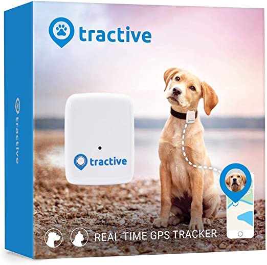 HainaultBargainBuys on Twitter: "Tractive GPS Dog Tracker Location Tracker with Unlimited Range Was £45, now £28.89 Link: https://t.co/cXAjUTVR2D #ad #gpsdogtracker #doglocationtracker #tractive #gpspettracker #petgpstracker #petlocationtracker https ...