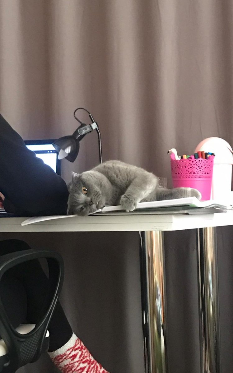 kawkhaha's tweet photo. yara bandı kalbə yapışmir https://t.co/WENME9MggJ