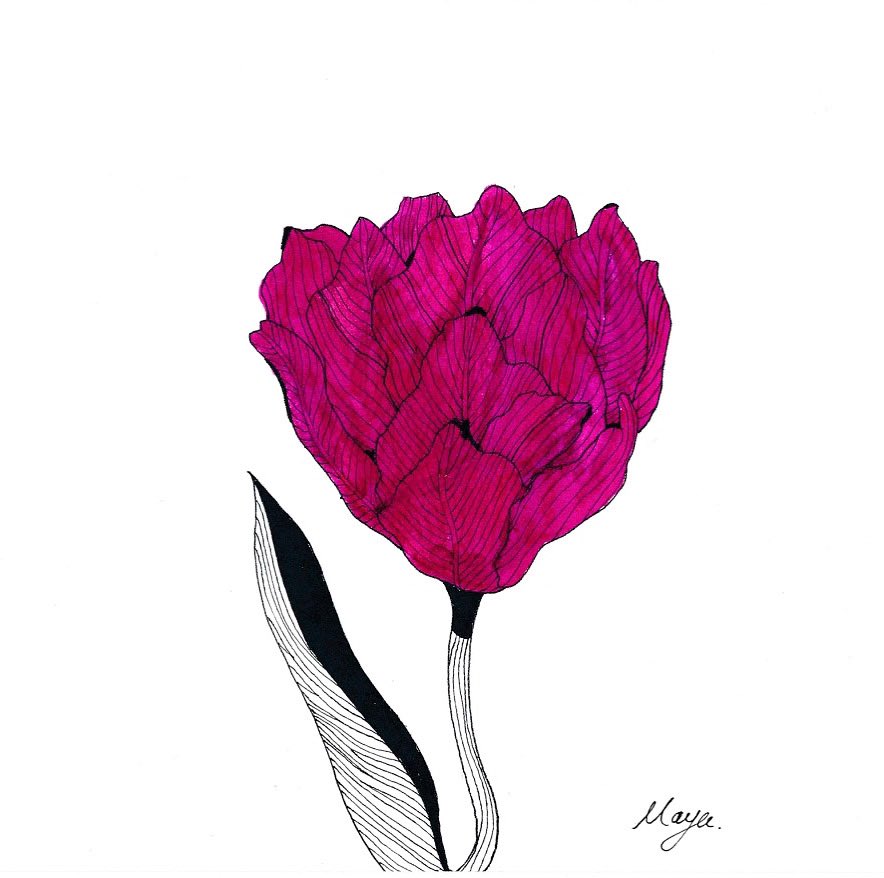 Power of Pink - tulip- / チューリップ

#drawing #drawingoftheday  #flowerdrawing #tulips #illustration #illustgram #doodle #inkdrawing #flowerinspiration #ranunculus 
#girlillustration  #imaginary_art_ #イラスト #花イラスト #ドローイング #チューリップ