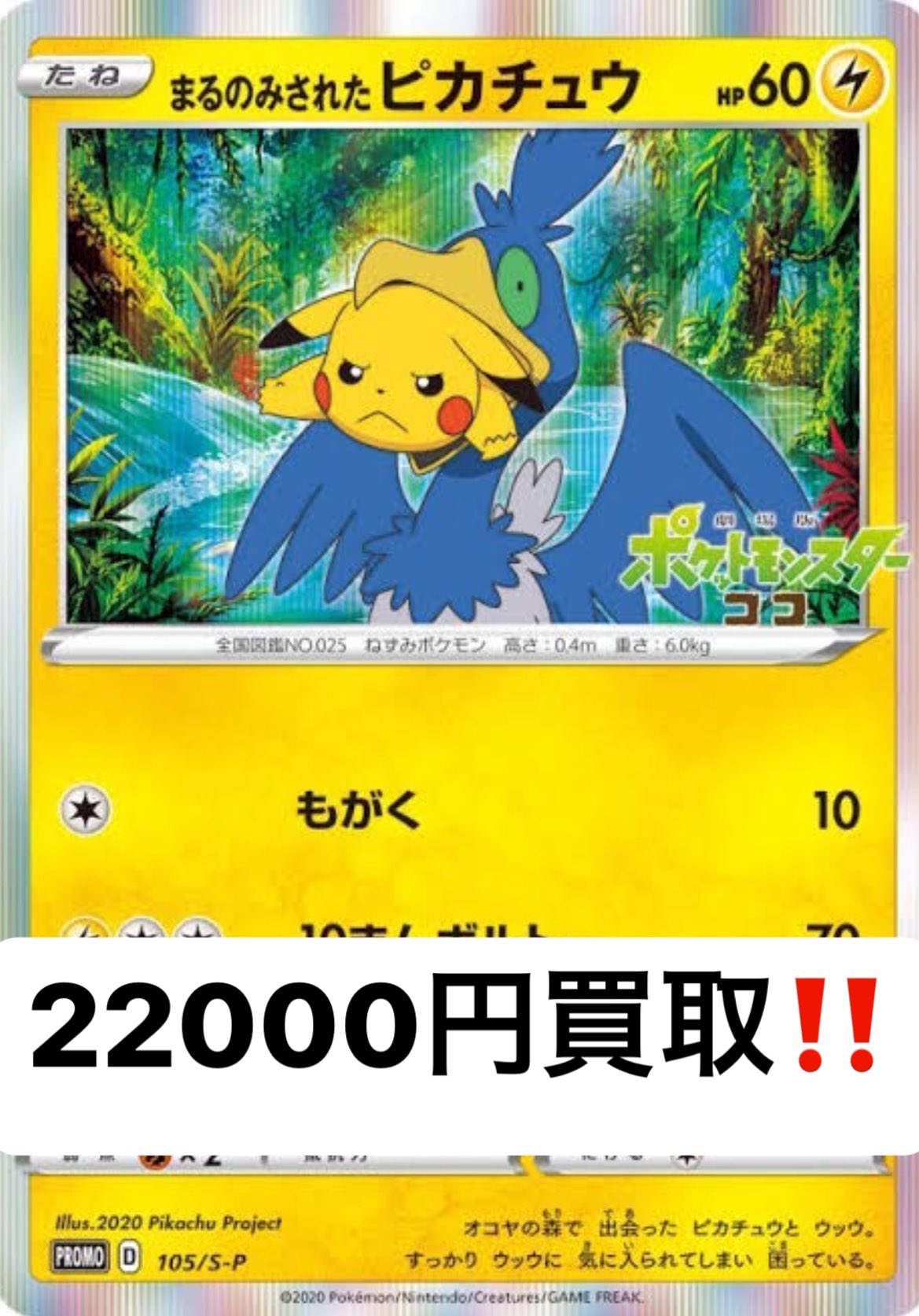 メルカード アキバカードショップ A Twitter ポケモンカード 買取 まるのみされたピカチュウ 200 おいわいピカチュウ ルイージピカチュウ 未開封1000 マリオピカチュウ未開封 スカル団ごっこピカチュウ 未開封 ポンチョを着たピカチュウ 未開封