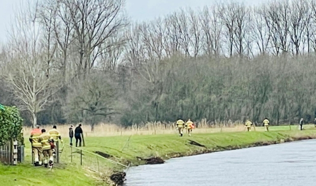 Schapen het water ingevlucht in Heeswijk-Dinther - ..