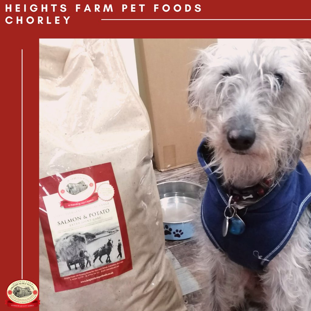 Say Hello to 10 year old Whippet - Billy, who has going the Heights Farm Chorley gang. Billy has had a delivery by Moira of the 15KG Salmon &amp; Potato. 
Living in Chorley or surrounding areas? Contact us for a sample! 

Welcome to Heights Farm, Billy! 🐶
heightsfarmpetfoods.co.uk
