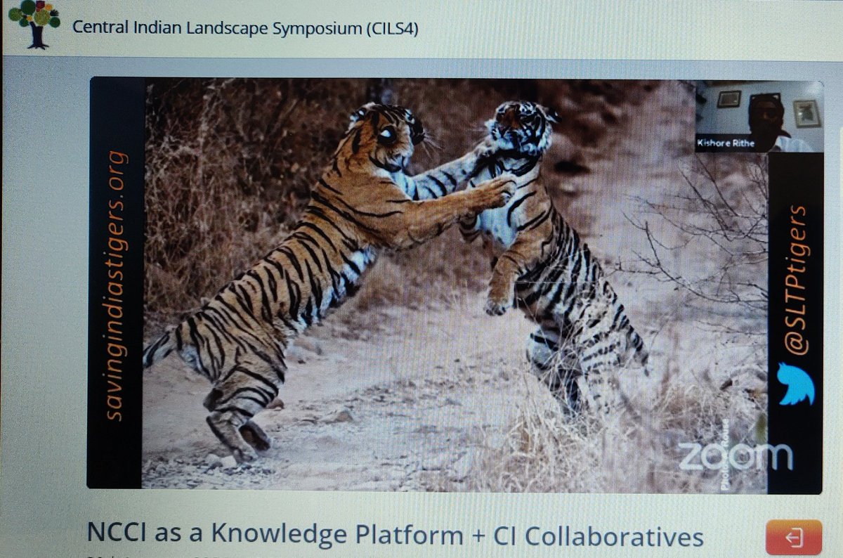 MansiMonga's tweet photo. Dr. Kishore Rithe at #cils4 talking about the efforts of the Satpuda Landscape Tiger Partnership @Conserving_CI https://t.co/DRu6vmDJWW