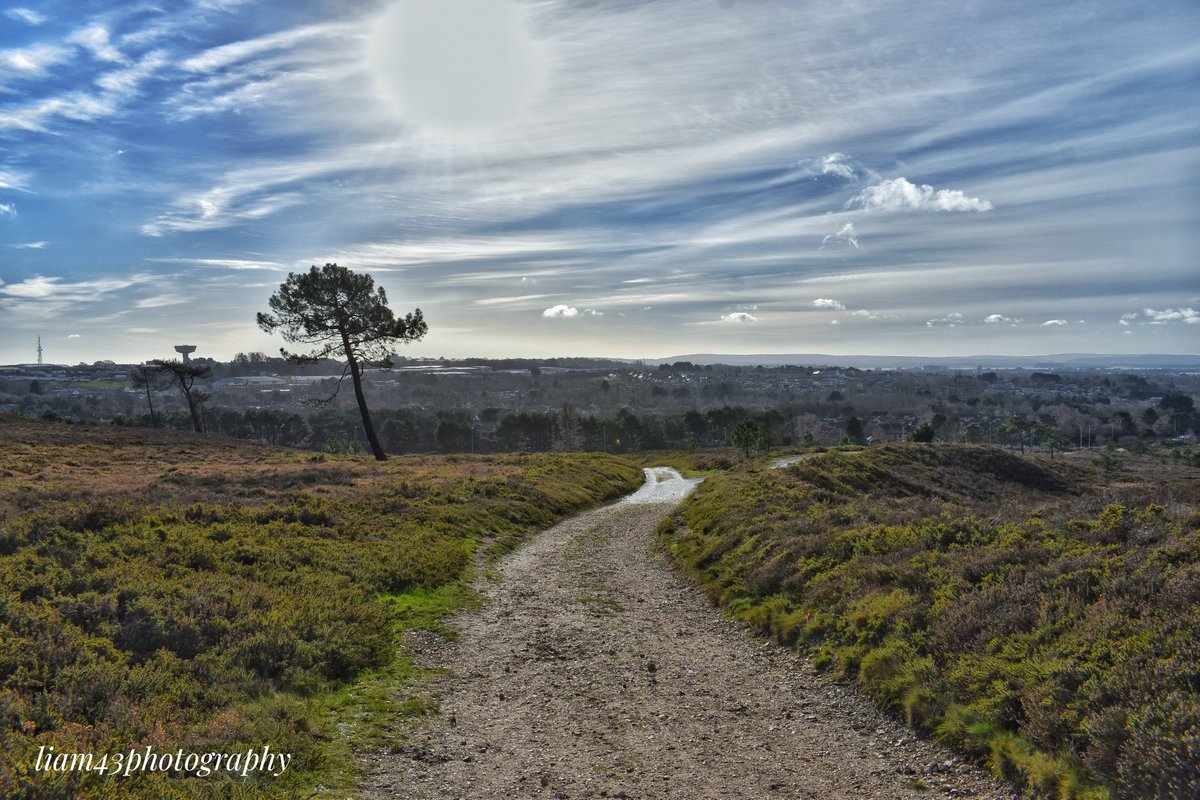 Stunning views over the heath. #CanfordHeath #HeathlandWalk #LovePoole #LoveGREATBritain #Dorset #visitdorset #dorsetphotographer #landscapephotography #photography #nikon #nikonphotography #nikonphotographer <a href="/visit_dorset/">visit-dorset.com</a> <a href="/lovepooleuk/">Love Poole</a>