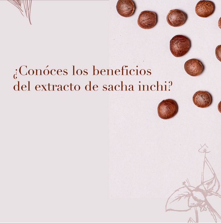 VheraLucci's tweet photo. ¿Conoces los beneficios del extracto de sacha inchi? 

Ofrece una hidratación de 48 horas de duración. No deja textura oleosa ni grasosa. Tu piel quedará suave y sedosa desde la primera aplicación. 

#sachainchi #biodiversidadcolombiana #vheralucci https://t.co/BuKa6KQ9Mi