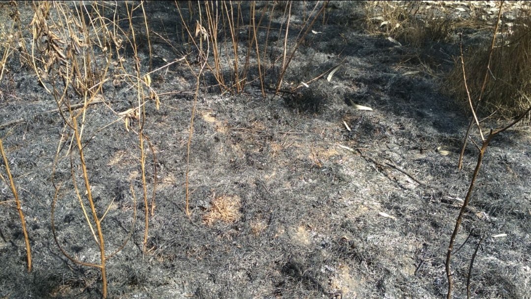 SharmilaAyyapps's tweet photo. Unauthorized burning of a large amount of Garbage causing residents around to choke. Ashes flying everywhere. KPCB doesn't even bother to pick calls. Sent a formal mail. Can the people of India have any hopes on such govt authorities? @CPCB_OFFICIAL @karnatakaspcb https://t.co/rrjB2PHONu