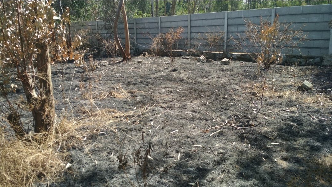 SharmilaAyyapps's tweet photo. Unauthorized burning of a large amount of Garbage causing residents around to choke. Ashes flying everywhere. KPCB doesn't even bother to pick calls. Sent a formal mail. Can the people of India have any hopes on such govt authorities? @CPCB_OFFICIAL @karnatakaspcb https://t.co/rrjB2PHONu