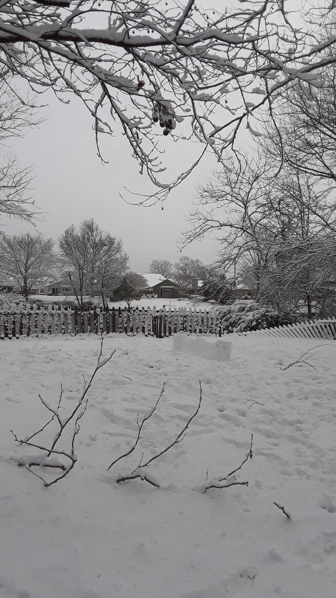 PancakeShort's tweet photo. Happy snow day!! :D https://t.co/V4pszfyYtq