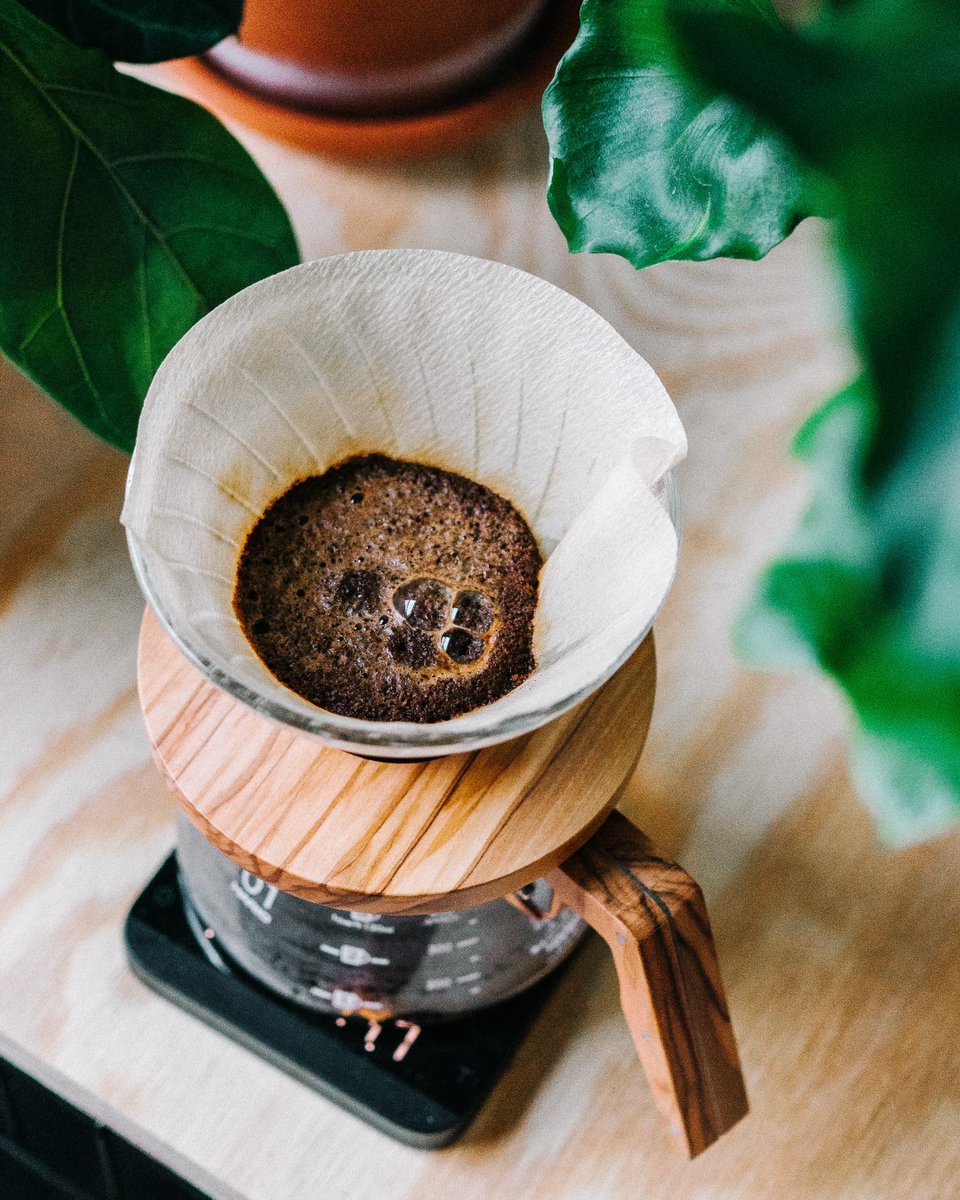 TheDriveCoffee's tweet photo. We are really embracing the pourover! ☕It's just such a great option if you just need one cup in the morning before leaving the house. 😴#pourover #morningcoffee #singlecup #waytogo #hotcoffee #groundcoffee #morningmotivation #coffeelover #thedrivecoffee #vancity #eastvan https://t.co/zDMj43ufwF