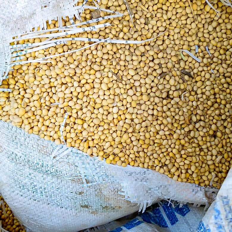 amazonibia's tweet photo. Hey guys I have 600 bags of Soyabeans and maize for sale, export options available as well. Prices are per tonne. Please send dm if interested, let's do business. #AbujaTwitterCommunity #SilhoutteChallenge #reddit https://t.co/9yz1Eanf8q