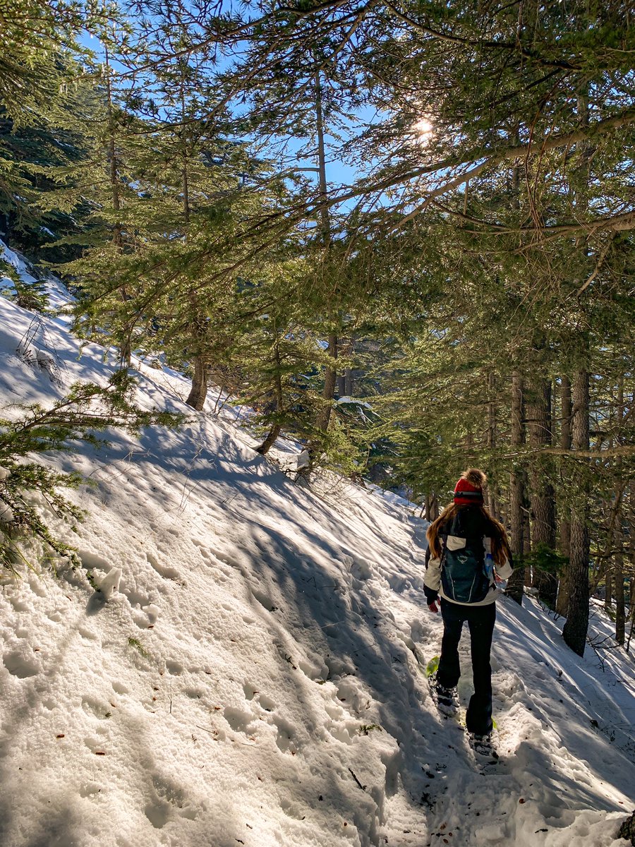 cindy_isk's tweet photo. Looking forward to a weekend full of snowshoing and hikes π€π
#ehden #winter #snow #snowshoing #hikes https://t.co/oHObi9dc2d