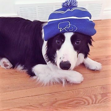 #BellLetsTalk today and everyday about #mentalhealth.  #MentalHealthMatters