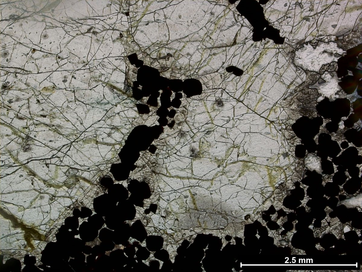 rockswhisperer's tweet photo. It's #ThinSectionThursday ! Cumulate #chromite and partially resorbed cumulate #olivine rimmed by intercumulus #orthopyroxene from the Stillwater Layered Mafic Complex. This texture is best appreciated with the mineral formulas. And the olivine has nice deformation bands! https://t.co/wii0HpC0qG