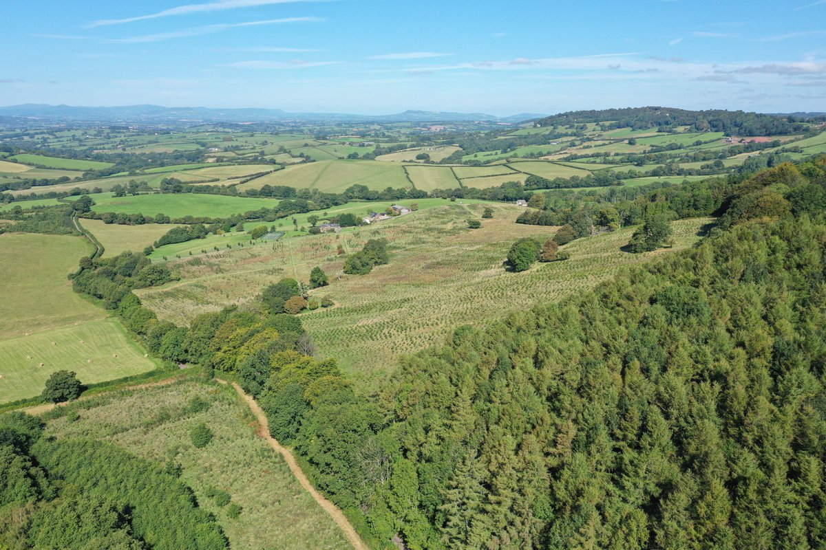 Defra's Environmental Land Management #ELM Tests &amp; Trials team is seeking volunteers for its Landscape Recovery component, to support delivery of landscape/ ecosystem recovery thru long-term land use change, inc large-scale tree planting bit.ly/3okNNFm <a href="/DefraGovUK/">Defra UK</a>