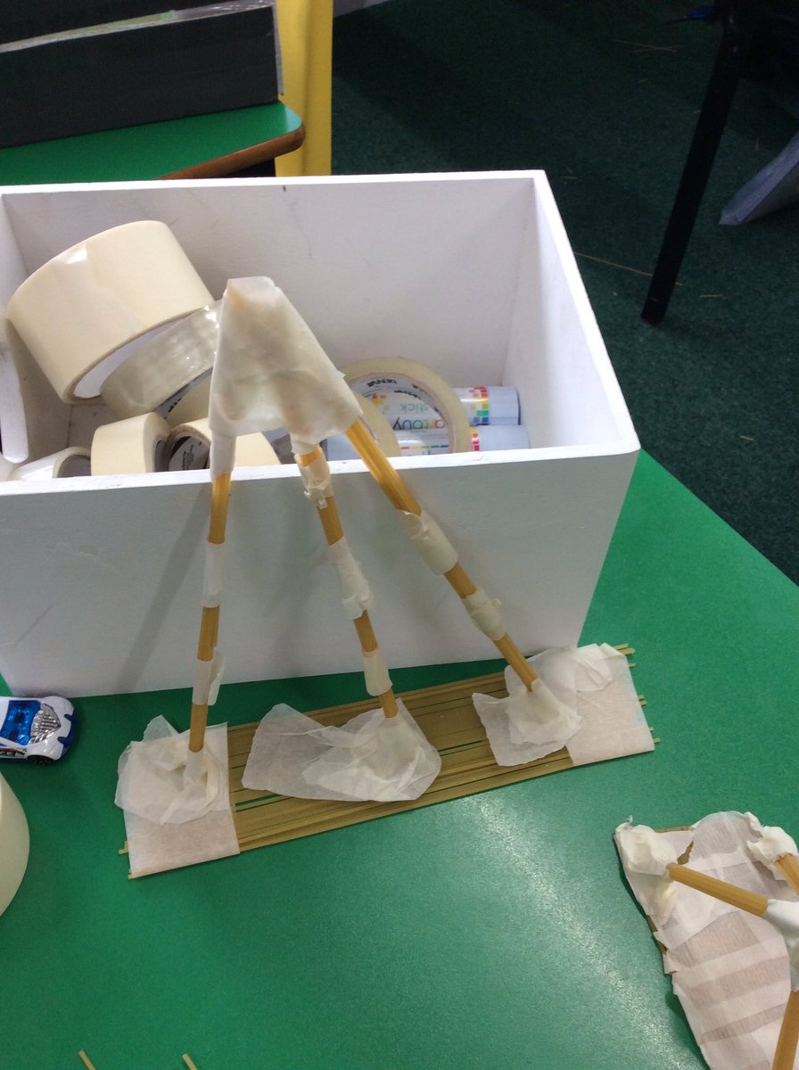 Timbertree Year 2 tweet media