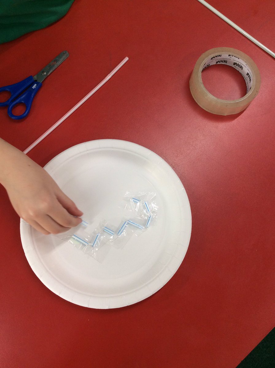 Timbertree Year 2 tweet media