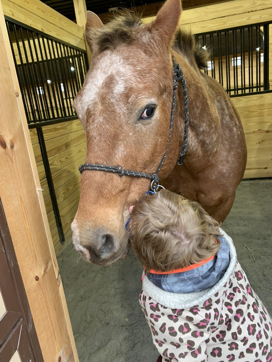AcresGraceful's tweet photo. Sometimes words can’t describe the beauty of a picture. #loveforhorses❤🐎 #naturalhorsemanship #blessed https://t.co/FY44vJeHrp