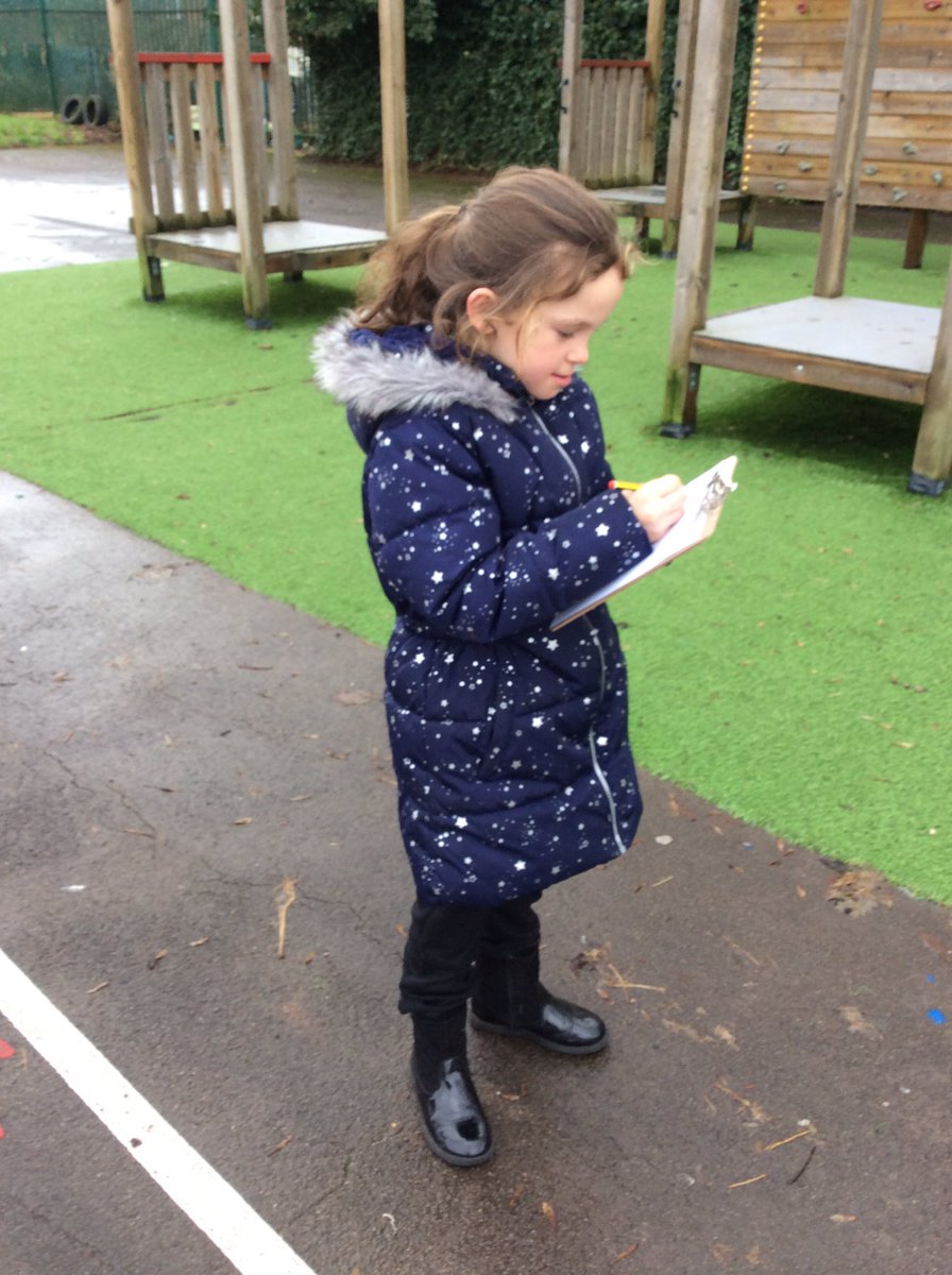 Timbertree Year 2 tweet media