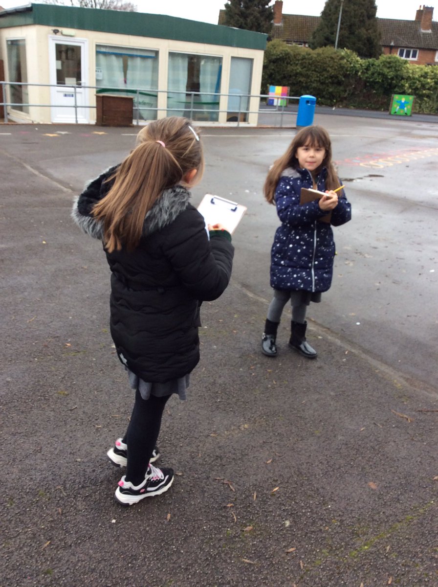 Timbertree Year 2 tweet media