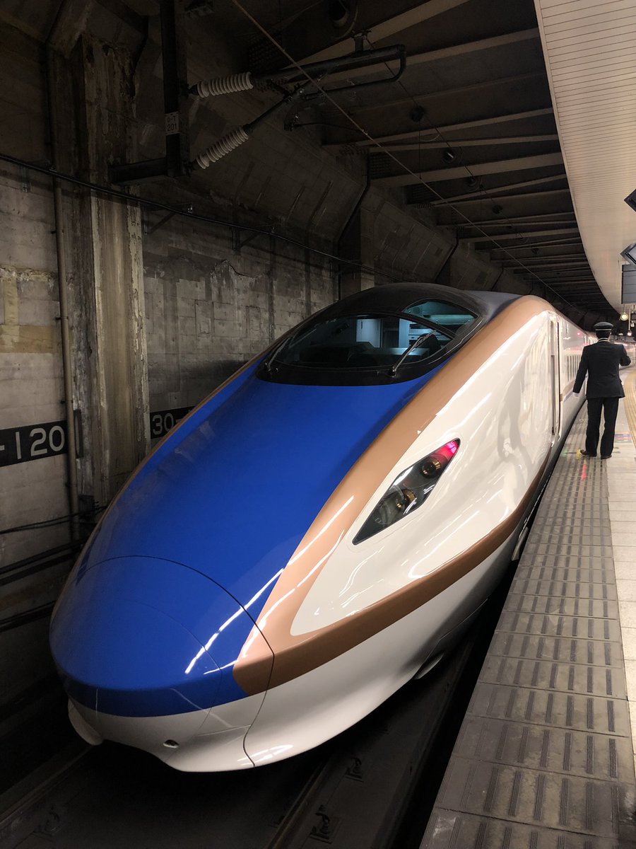 Some versions of the Shinkansen we saw in   #Tokyo  #Japan  #Shinkansen  #BulletTrain (12)