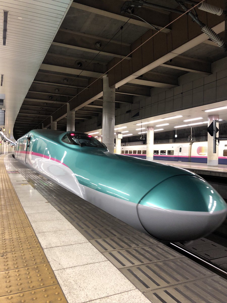 Some versions of the Shinkansen we saw in   #Tokyo  #Japan  #Shinkansen  #BulletTrain (12)