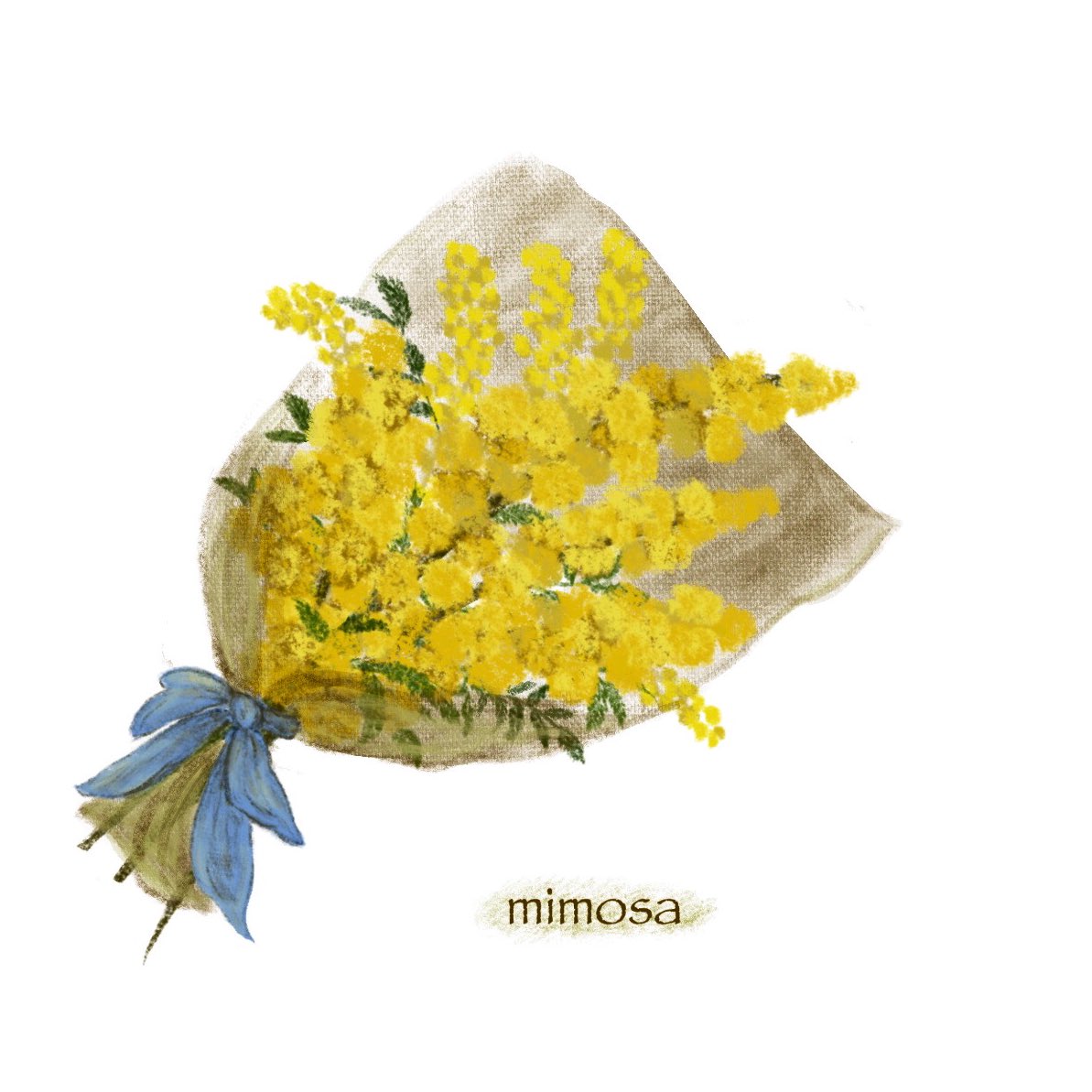 Mimin No Twitter 可愛い花 ミモザ ミモザ イラスト 花束 花 花好き Mimin No Twitter 可愛い花 ミモザ ミモザ イラスト 花束 花 花好き