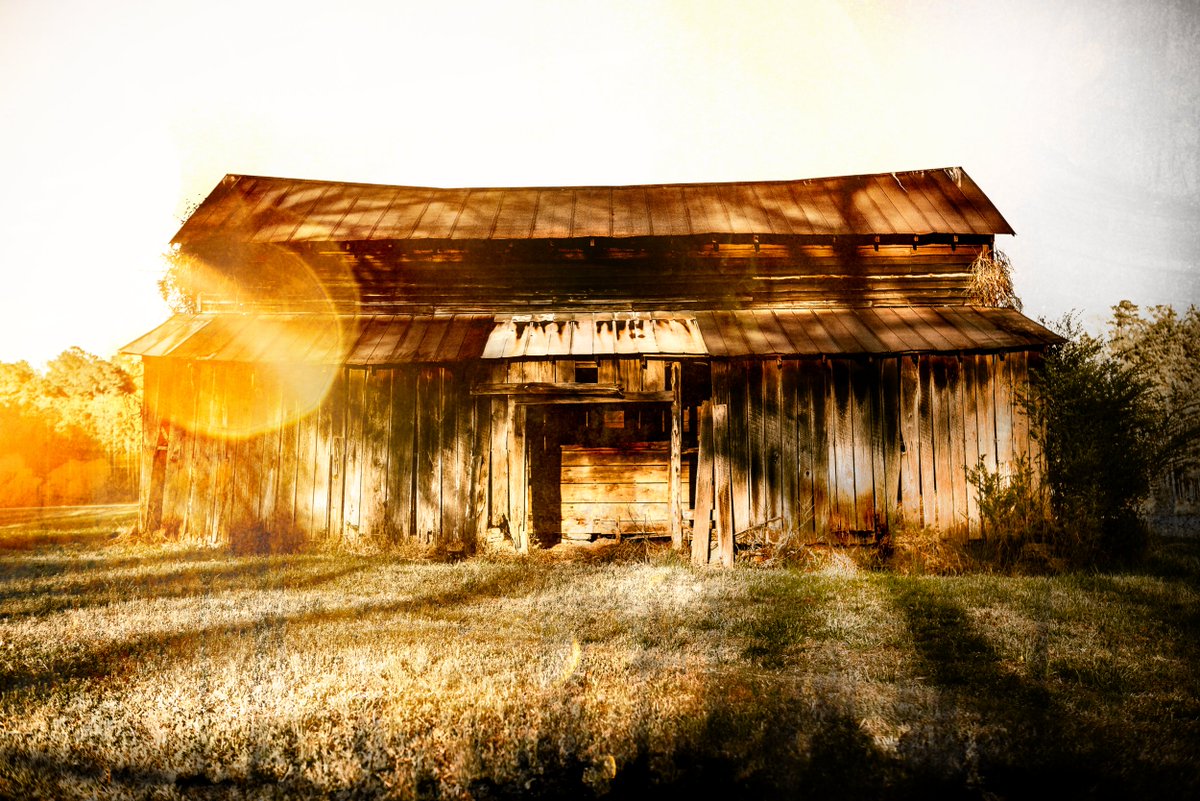 TheHome.com tweet media