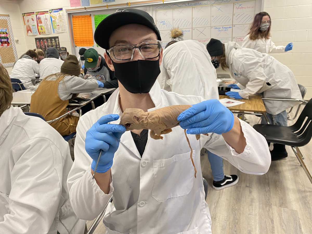 Consort School tweet media