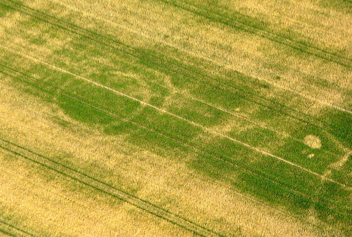 Die Archäologische #Luftbildschau ist ein Highlight im Kalender des Freundeskreises für #Archäologie in #Niedersachsen. 2021 findet sie virtuell statt im Rahmen der #Montagsvorträge des NLD – am 01.02. wie immer ab 18.30h live in unserem #YouTube-Kanal:

youtu.be/J9_TSwEqysc