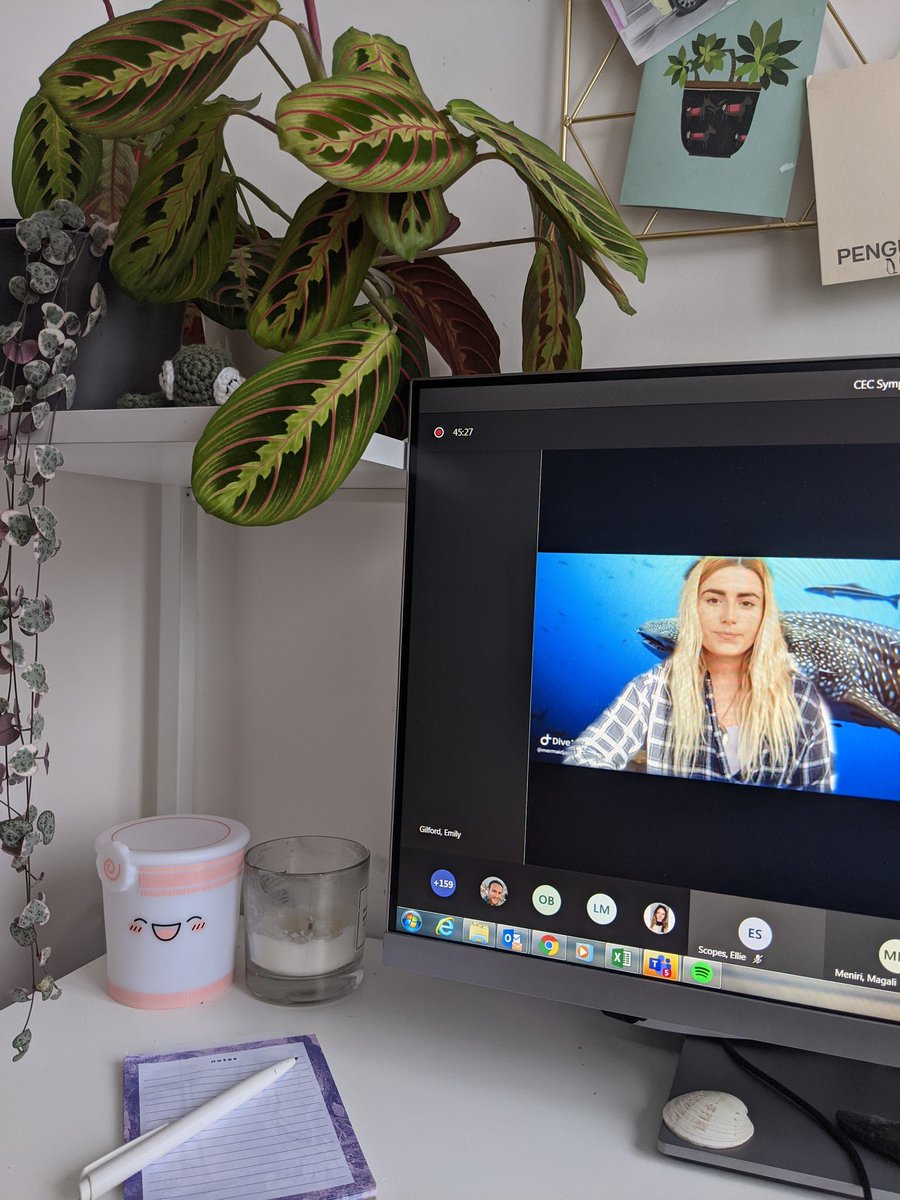 Next is <a href="/MarineBioJade/">Jade Getliff 🦈</a> on the threats to sharks and rays in the Galapagos 🦈 #conservation #CECSymposium #FINtastic