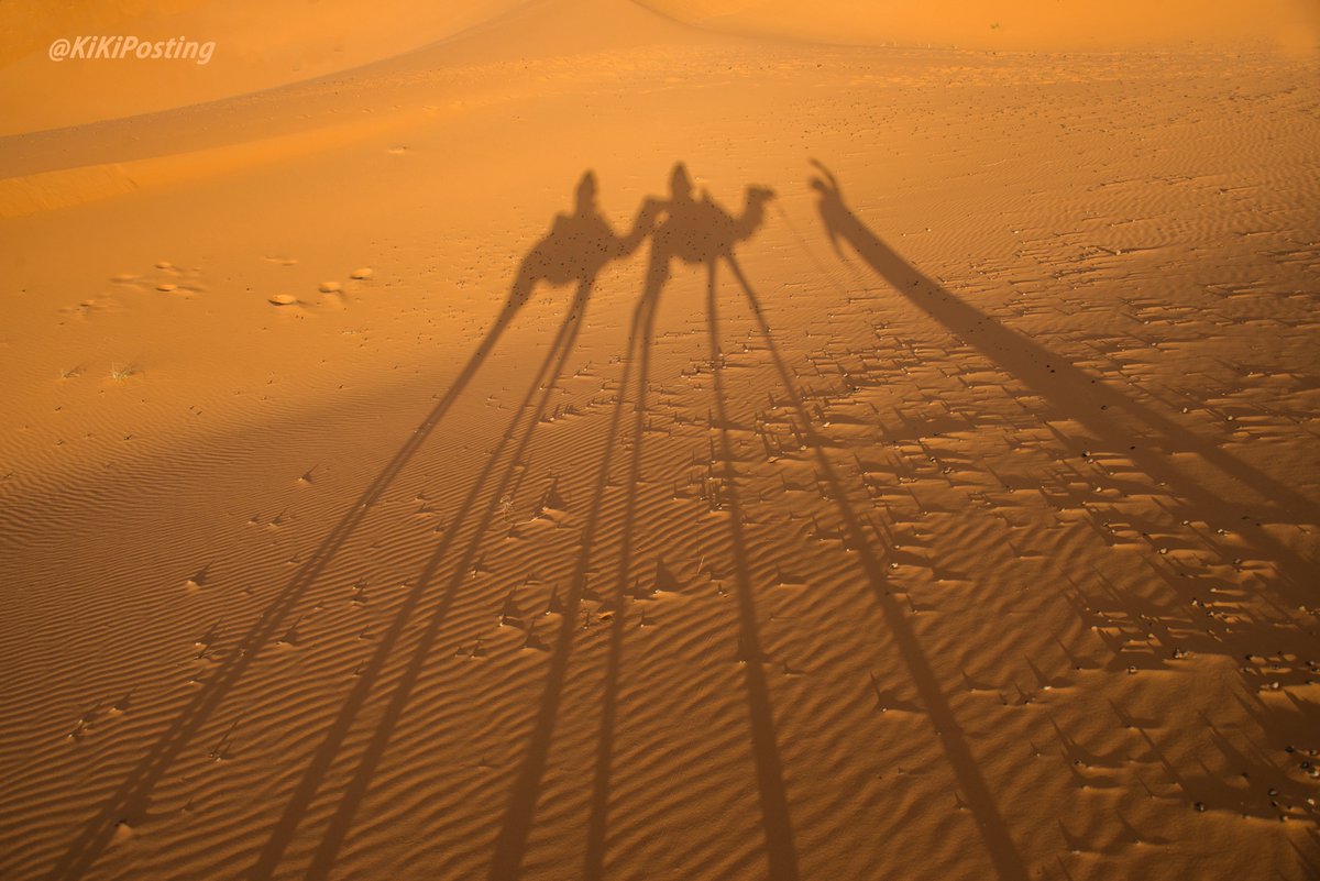 Me & my shadow...I am on the first camel (the one on the right.) Morocco❤️ #landscape #landscapephotography #sunset #sunsetphotography #travel #travelphotography #Morocco #sahara #clouds #sunrays #nikon #NikonD850 #nikonphotography #redsand #camelride