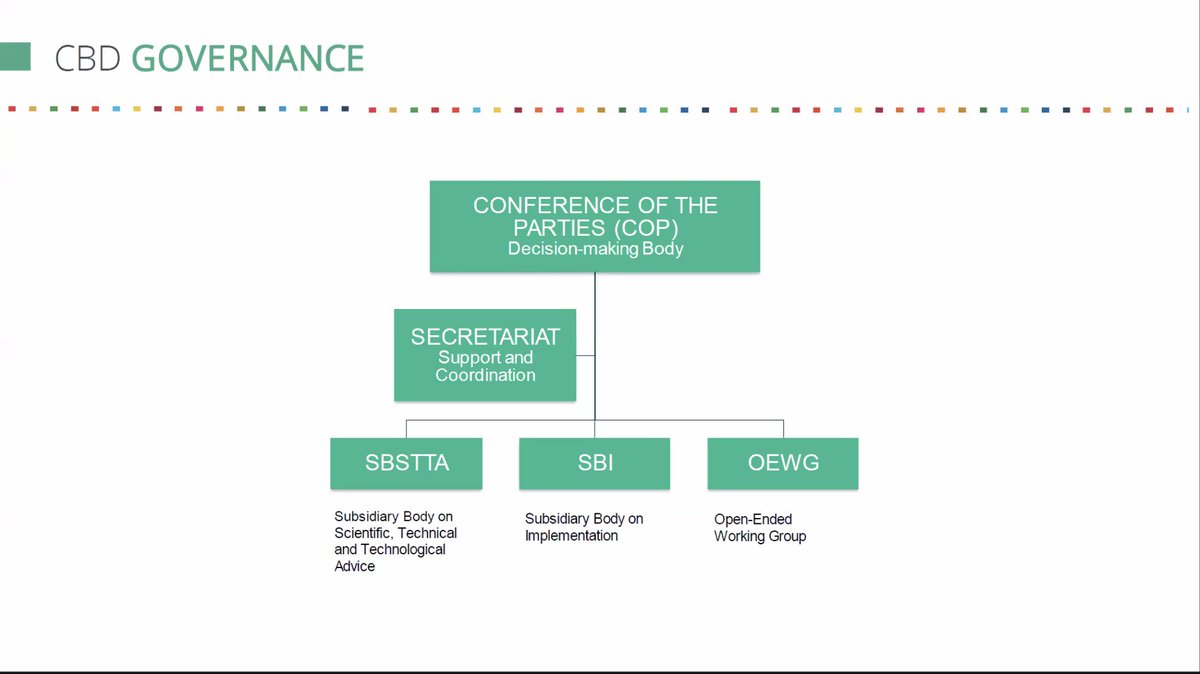 there are still ongoing negotiations as SBSTTA&amp;SBI meetings need 2 happen first&amp;then OEWG meeting before theCOP can take place. A minimum 9 weeks is needed in btw SBSTTA/SBI&amp;OEWG &amp; then 9 weeks btw OEWG&amp; COP15. CBD´s working hard 2 ensure #COP15 can happen asap #biodiversity2021