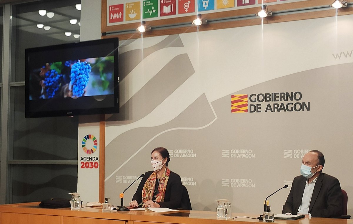 .<a href="/GobAragon/">Gobierno de Aragón</a> impulsa una iniciativa de promoción internacional y de diferenciación de los vinos de Aragón con una colección digital en 4 idiomas.

"Estas piezas ponen en valor los principios que diferencian a los caldos aragoneses".

#Aragonalimentosnobles