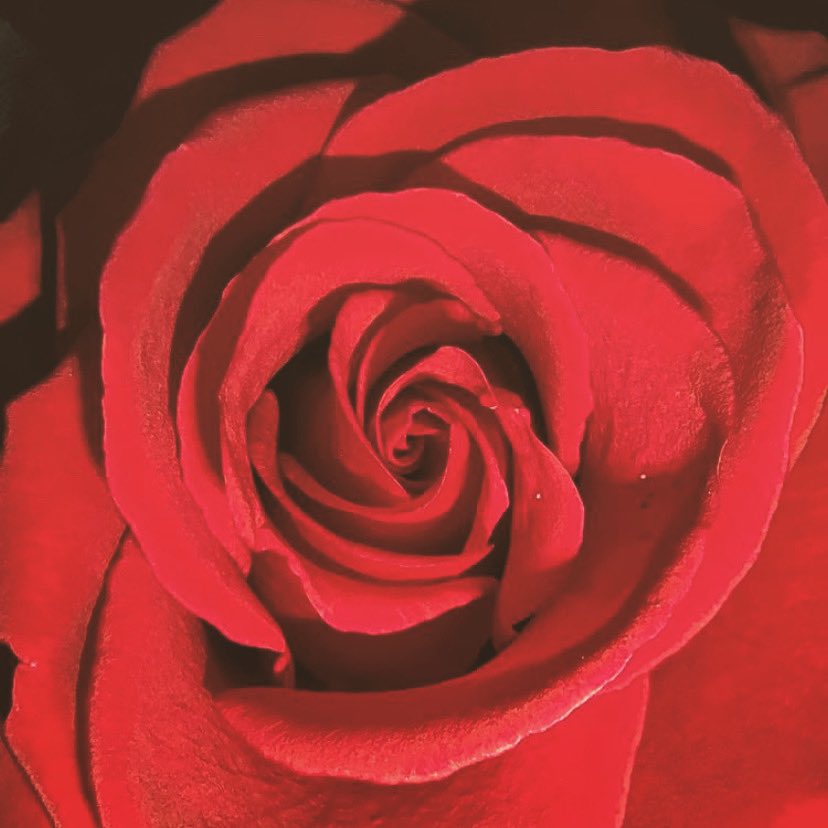 This #thankfulThursday I’m grateful 4 all these wonderfully supportive &amp; loving #writer friends.❤️
<a href="/stephen_ainley/">DENNIS BISSKIT</a> 
<a href="/MariLouHris/">Maria Christodoulou</a> 
<a href="/AuthorEllie/">Ellie Douglas Author</a> 
<a href="/lorraine_1993/">Leonie Jackson</a> 
<a href="/ravaghi/">Noosha Ravaghi</a> 
@OldeHippieDude 
<a href="/MariaKaramitsos/">Maria A. Karamitsos</a> 
@tinseymiller 
<a href="/ninsthewriter/">Nina Romano</a> 
<a href="/KathleenHarrym1/">Kathleen Harryman</a> 
<a href="/PaulaHouseman/">Paula Houseman Author is querying</a> 
<a href="/BGuiton/">Brenda Guiton</a>